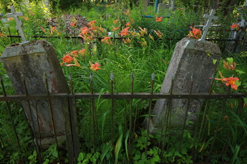 bright red lily flowers behind grave fence in cemetery