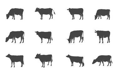 Jersey cow svg, Jersey cow silhouette, Jersey cow vector, Jersey cow clipart, Cow svg, Cow silhouette.