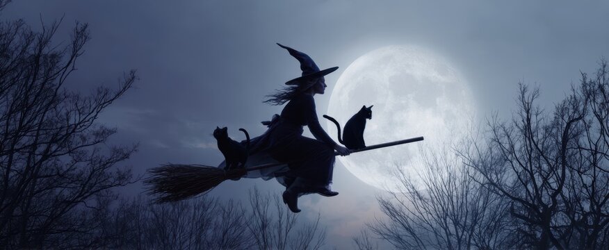 The witch flying with cats under a full moon in a dark sky.