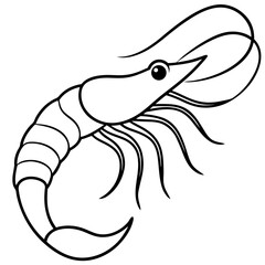 Fototapeta premium Simple Shrimp Drawing