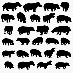 Fototapeta premium Collection of twenty-five hippopotamus silhouettes in various poses.
