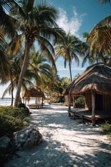 Fototapeta premium Serene summer stroll among palm trees by the beach in Mexico
