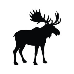 Silhouette of moose with large antlers standing on white background  
