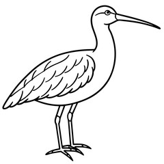 Simple Whimbrel Line Drawing Vector