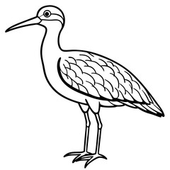 Simple Whimbrel Line Drawing Vector