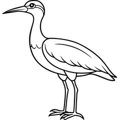 Simple Whimbrel Line Drawing Vector