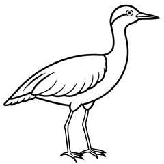 Simple Whimbrel Line Drawing Vector