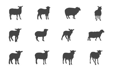 Sheep silhouette, Sheep svg, Sheep vector, Sheep clipart, Lamb svg, Lamb silhouette, Lamb vector, Sheep drawing.