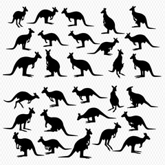 Silhouette collection of various kangaroo poses, showcasing diverse stances and orientations against a transparent background.