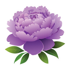 Majestic Purple Peony Flower Botanical Digital Artwork