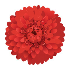 Intense Red Bloom Flower Full Petals Illustration