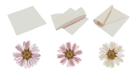 Arrangement of three white papers and three pressed daisy flowers on a white background top view