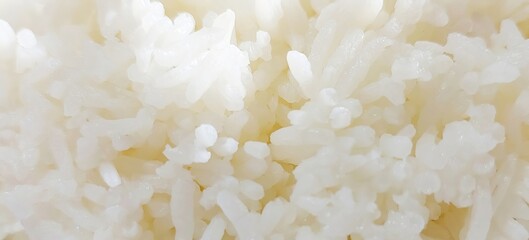 Close up texture of fluffy white cooked rice grains soft focus white rice