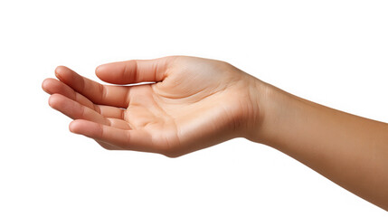 Open human hand reaching out with palm up isolated on transparent background