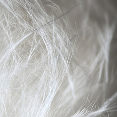 Obraz premium Whispers of White Fibers