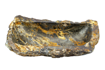 Green leaf with seed pods botanical detail nature