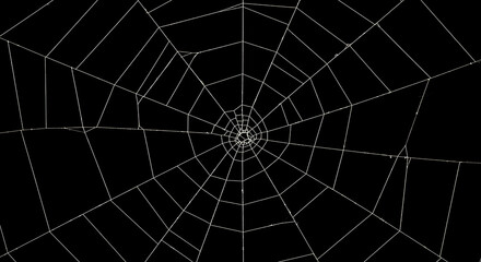 Obraz premium Intricate spider web design against a stark black background, detailed.