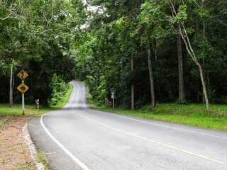 Winding asphalt road through a lush green forest with warning signs trees