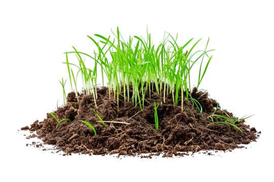 Abstract Green Waves 3D Render Soft Curves Minimalist Design