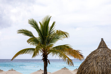Palm tree, seaview and parasols at Grote Knip Curaçao.