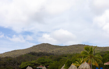 Parasols, palm trees and the beautiful landscape at Grote Knip Curaçao.