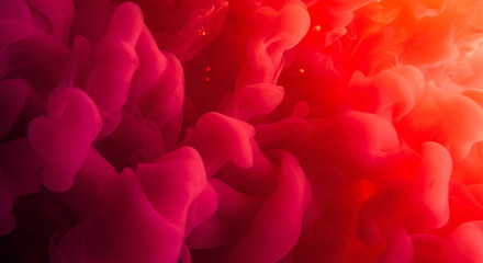 close up of pink tulips, white, summer, valentine, closeup, beautiful, color, peony