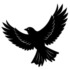 Fototapeta premium Black bird in flight spread wings silhouette flying