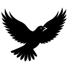 Fototapeta premium Black bird soaring with wings outstretched flying silhouette