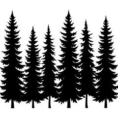 Obraz premium Black pine trees forest silhouette white background