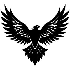 Obraz premium Majestic eagle flying sharp wing silhouette bird wings spread