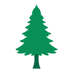 christmas tree isolated on white