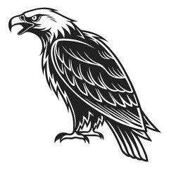 Fototapeta premium Intricate monochrome illustration of a majestic eagle showcasing detailed feather patterns and regal stance symbolizing strength and freedom in a