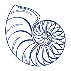 Obraz premium Elegant monochrome outline of a Nautilus shell emphasizing intricate spiral patterns and natural curves highlighting marine fossil structures and