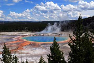 Gorgeous view of the great prismatic spring in Yellowstone National Park. A large number of small...