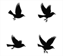 Obraz premium Clean Bird Silhouette Set – Yellow-Rumped Warbler