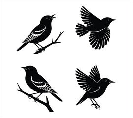 Flying Yellow-Rumped Warbler Black Silhouettes