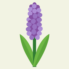 lilac flowers isolated on white background