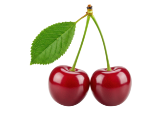 Isolated Two Red Cherries Green Stem Leaf