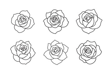 line art  style rose flower set on white background