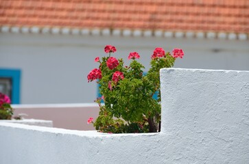 Edificio adornado con geranios en Vila Nova de Milfontes en la región del Alentejo Litoral,...