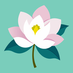 pink lotus flower