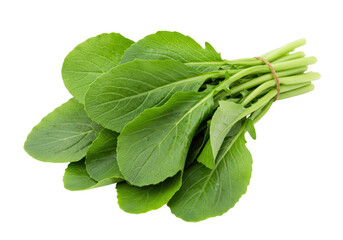 Isolated Bunch of Fresh Green Choy Sum tied with String