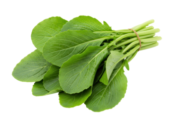 Isolated Bunch of Fresh Green Choy Sum tied with String