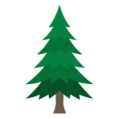 christmas tree isolated on white