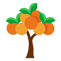 orange tree with fruits