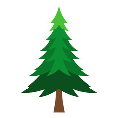 christmas tree isolated on white