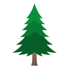 christmas tree isolated on white