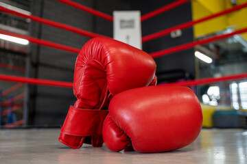 Close up of boxing gloves on ring floor.