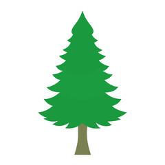 green christmas tree