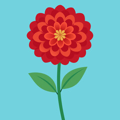 red dahlia flower